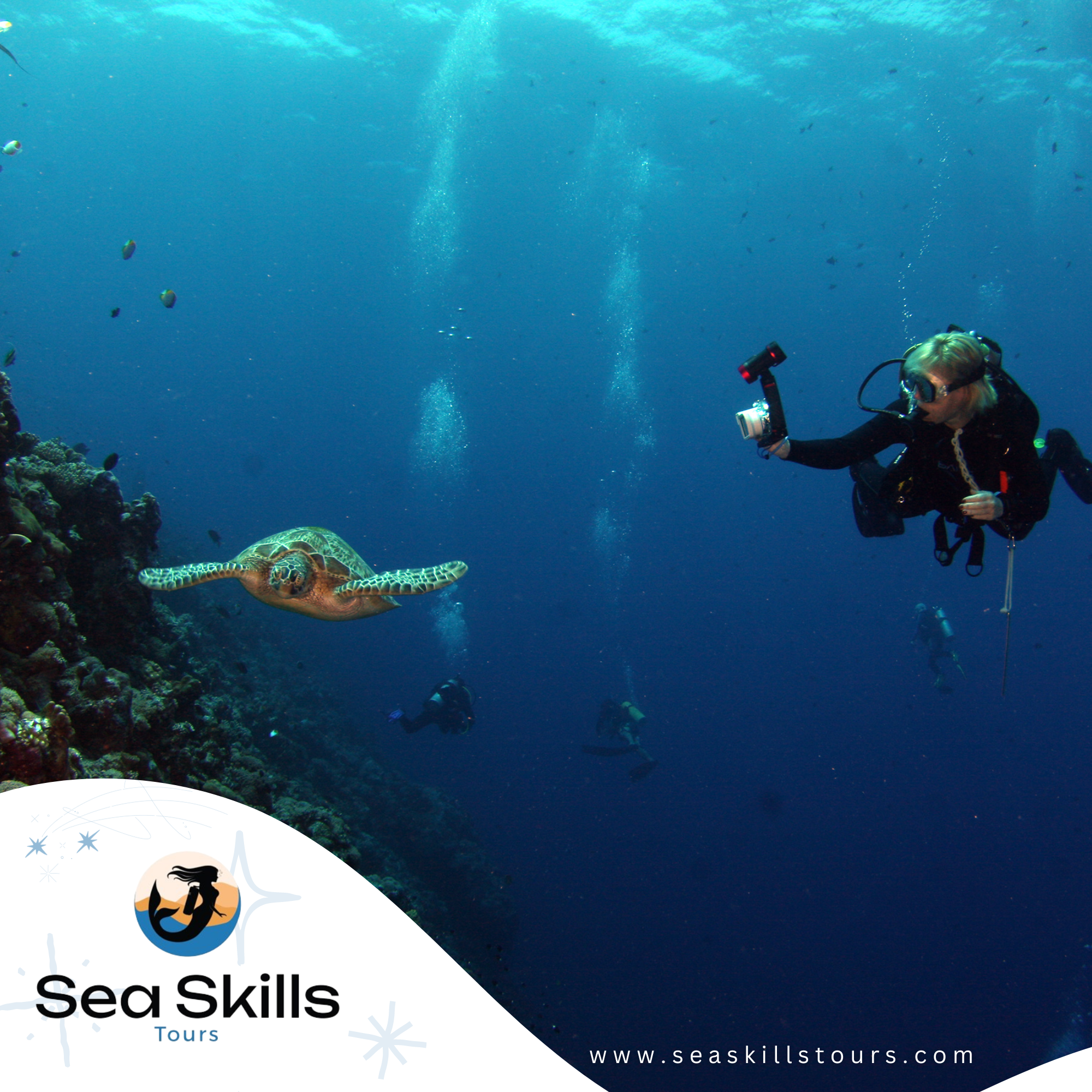 Diving Adventure