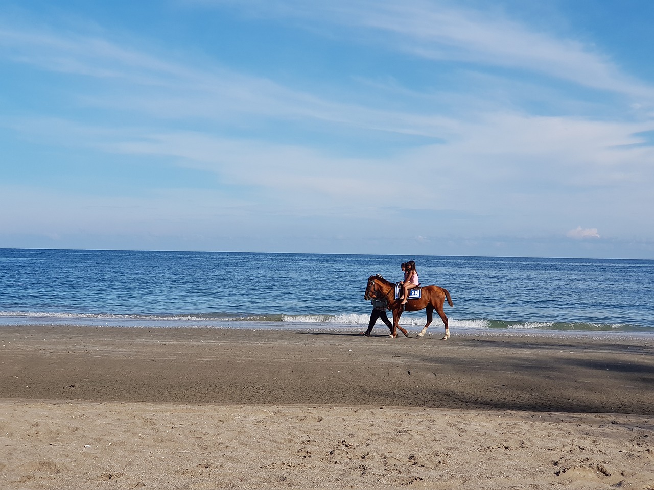Horse Riding by the Sea: A Majestic Adventure with Sea Skills Tour